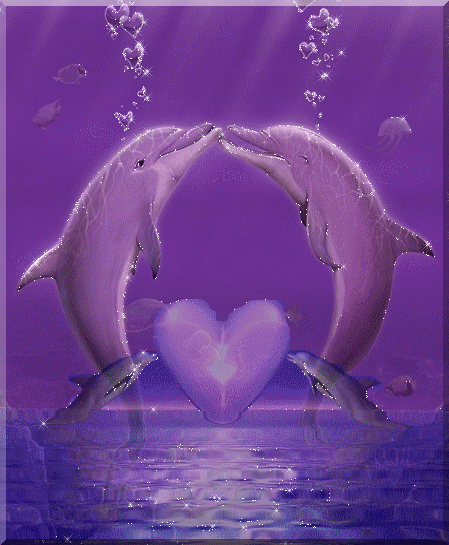 Dolphins in Love