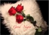 Good Night -- Red Roses