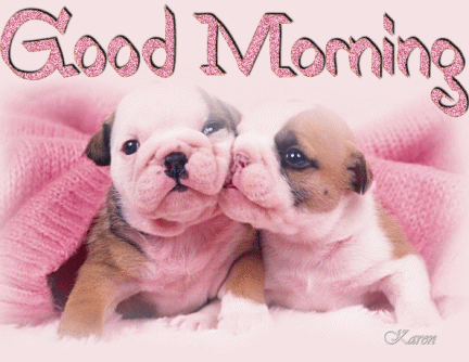 Good Morning -- Cute Puppies