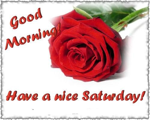 Good Morning! Have a nice Saturday!