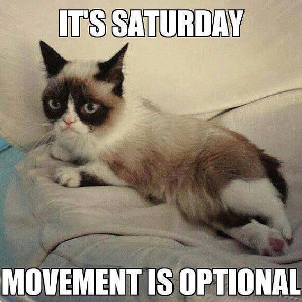 Grumpy Cat: It's Saturday Movement is Optional