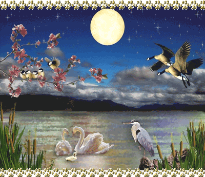Birds and Moon