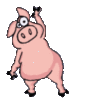 Dancing Pig