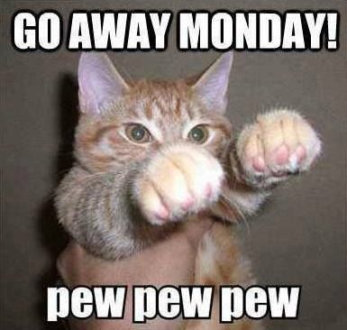 Go Away Monday! -- LOL Cat