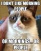 Grumpy Cat hates morning people