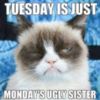 Tuesday is just mondays ugly sister -- funny grumpy cat