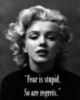 Fear is stupid, So are regrets. M. Monroe