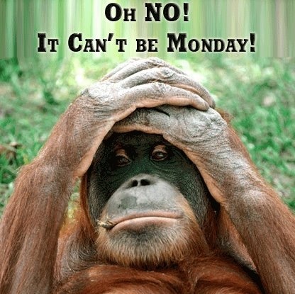 Oh NO! It Can't be Monday!