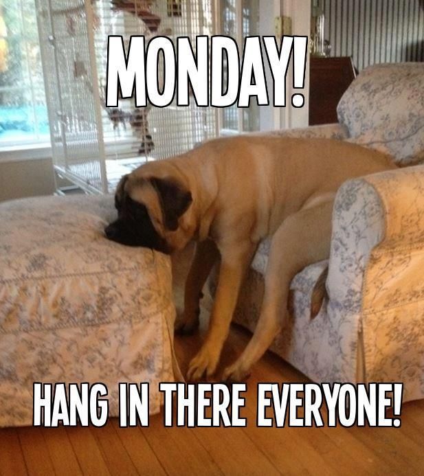 Monday!