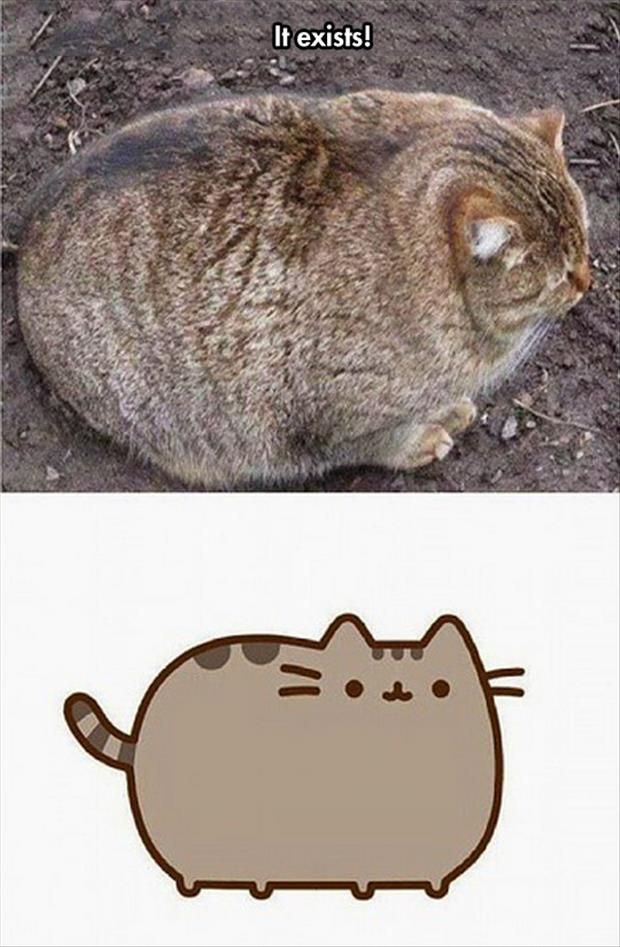 LOL Cat: It exists!