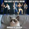 Grumpy Cat: Avada Kedavra
