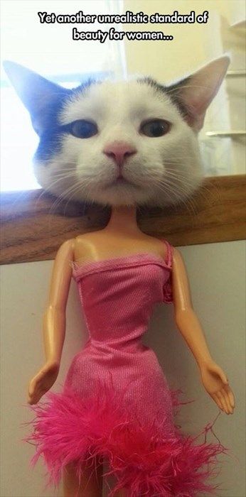 LOL Cat: Yet another unrealistic starndard of beauty for women...