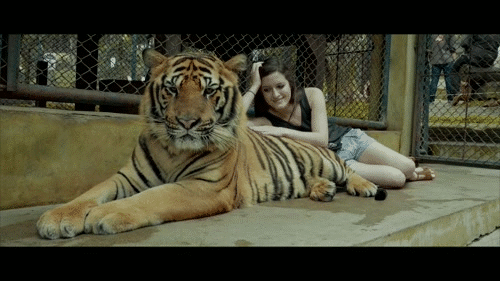 Tiger & Girl