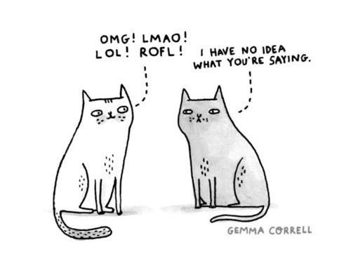 LOL Cat: omg lmao lol rofl