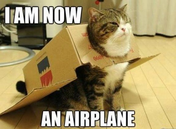 LOL Cat: I am now an airplane