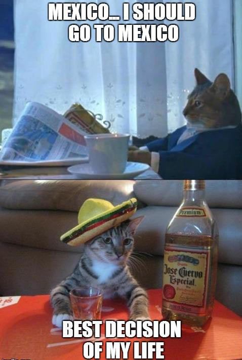 LOL Cat: Mexico!
