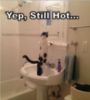 LOL Cat: Yep, Still Hot...