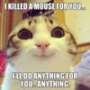 LOL Cat: I killed a mouse for you...