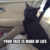 LOL Cat: Your Face Is Made Of Lies