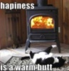 LOL Cat: Hapiness is a warm butt