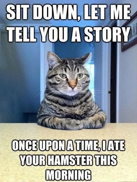 LOL Cat: once upon a time...