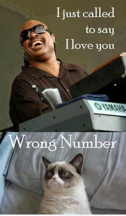 Grumpy Cat: Wrong number