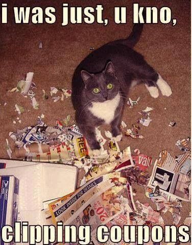 LOL Cat: I was just, u kno, clipping coupons