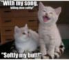 LOL Cat: Softy my butt!