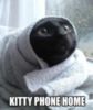 LOL Cat: Kitty phone home