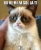 Grumpy Cat: Do Re Mi Fa Sol La Ti... No