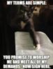LOL Cat: My terms are simple