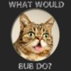 What would BUB do?