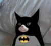 Grumpy Cat Batman
