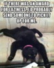 LOL Cat: Laziness