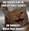LOL Cat: Do you believe in love at first sight?
