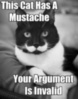 LOL Cat: Mustache