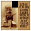 LOL Cat: Let me play you song called "There is no food in my f*cking bowl!"