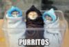 LOL Cats: Purritos