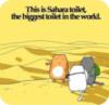 Funny Cats: This is Sahara toilet, the biggest toilet in the world.