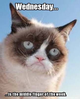 Grumpy Cat: Wednesday...the middle finger of the week.