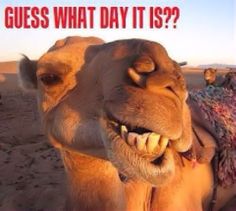 Guess what day it is 