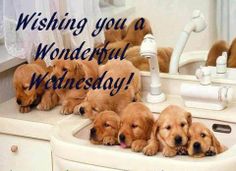 Wishing you a wonderful Wednesday 