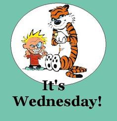 it's Wednesday! 