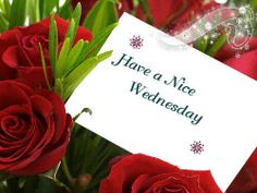Have a nice Wednesday