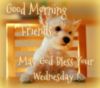 Good Morning Friends May God Bless Your Wednesday!