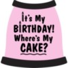 It's My Birthday! Where's My CAKE?