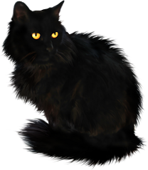 Halloween -- Black Cat