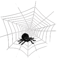 Halloween --  Spider's web