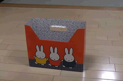 Funny Cat in a box
