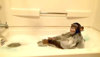Funny Animal takes a bath